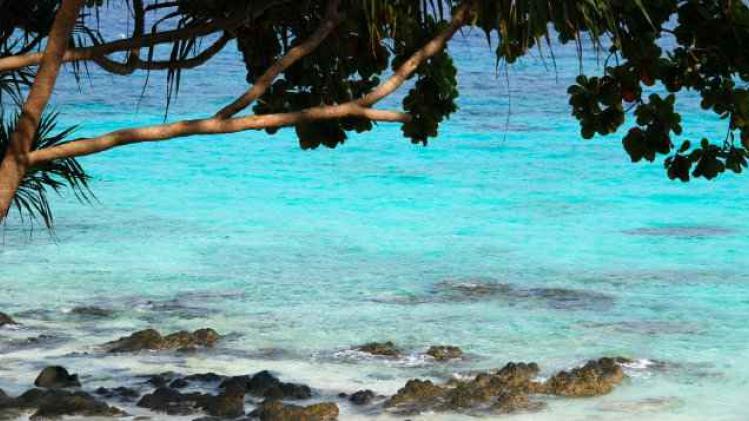 beach-653369_1920 1
